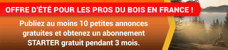Offre d’été pour les professionnels français du bois!