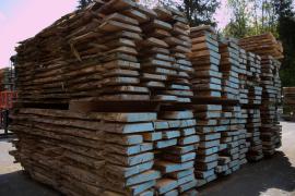 Acacia blanc Bois débité pour construction |  Bois dur | Bois débité | Wander Czech s.r.o.